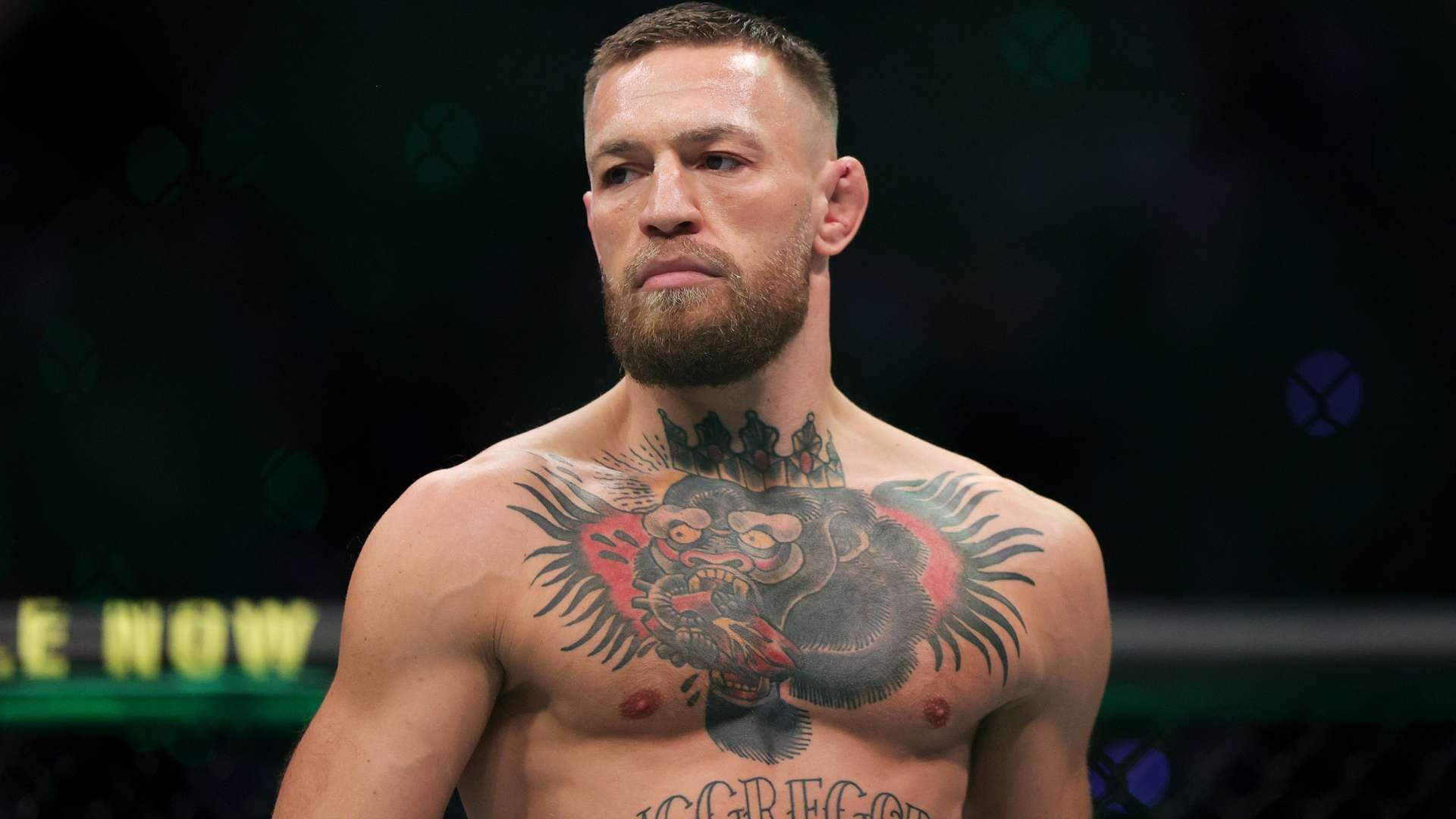 崭露头角 崭露头角