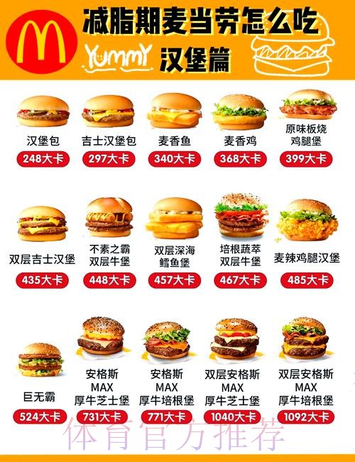 第16轮：弗赖堡2-1汉堡 集锦